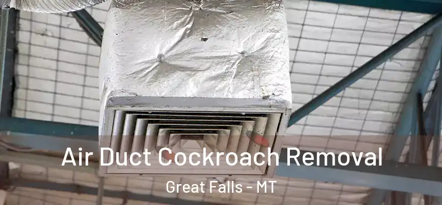 Air Duct Cockroach Removal Great Falls - MT