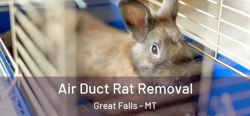 Air Duct Rat Removal Great Falls - MT