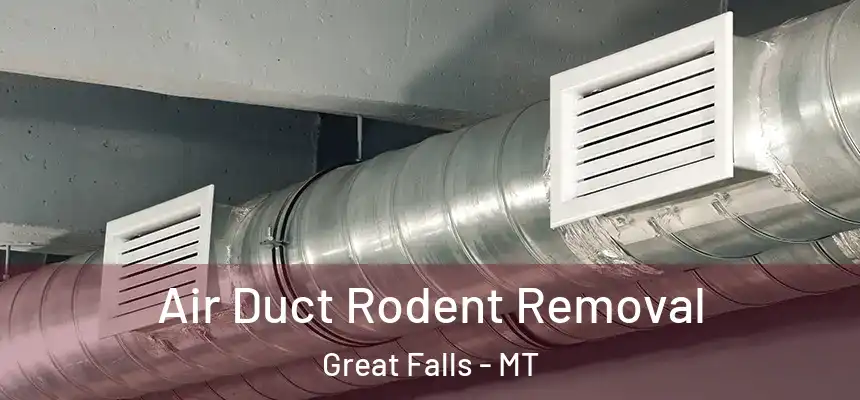  Air Duct Rodent Removal Great Falls - MT