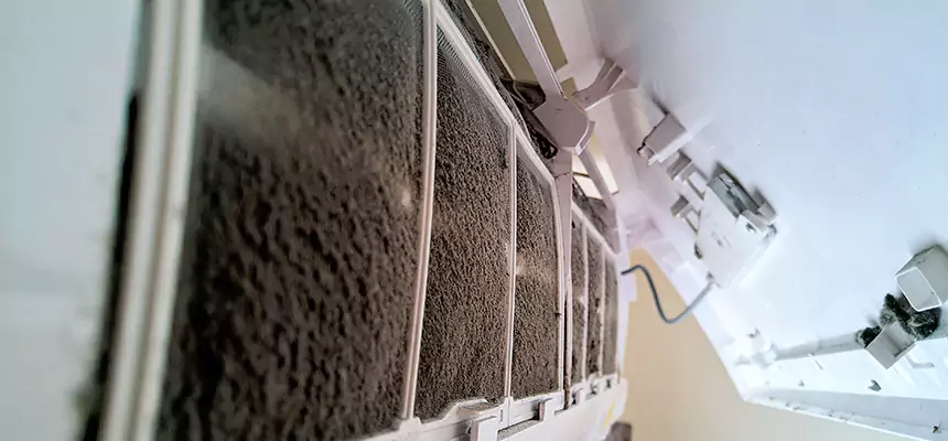 Preventive Air Duct Bacteria Removal in Great Falls