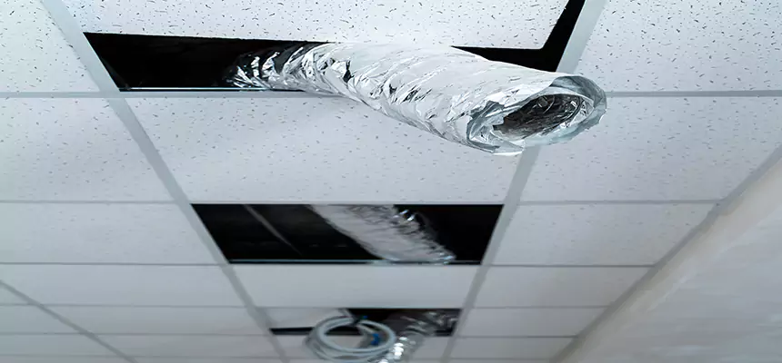 Our Air Duct Pet Hair Removal Services in Great Falls, MT