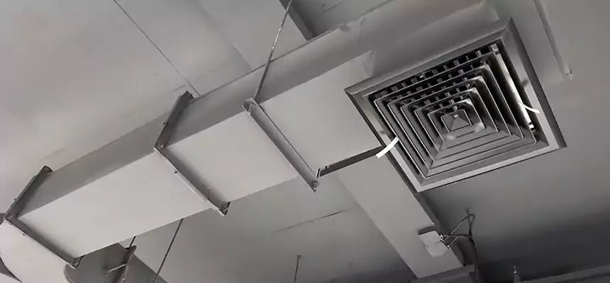 Restorative Allergy Relief Vent Cleaning – Coil, Blower & Housing Detail in Great Falls