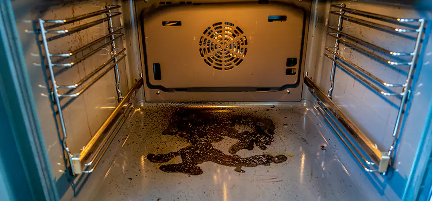 Our Dryer Vent Mold Cleaning Services in Great Falls, MT