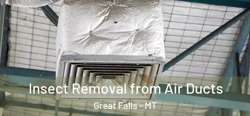 Insect Removal from Air Ducts Great Falls - MT