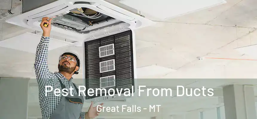 Pest Removal From Ducts Great Falls - MT