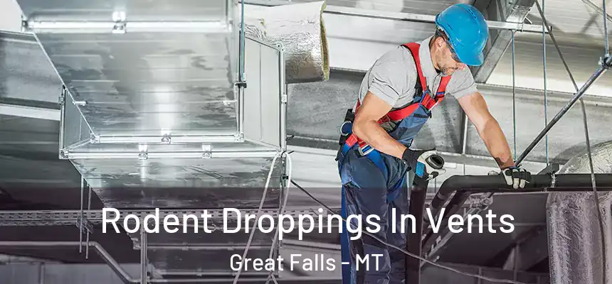  Rodent Droppings In Vents Great Falls - MT