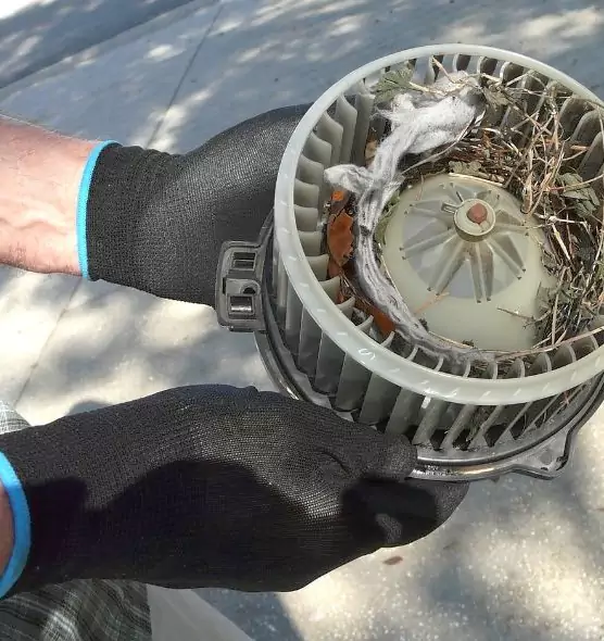 About Air Duct Rat Removal in Great Falls, MT