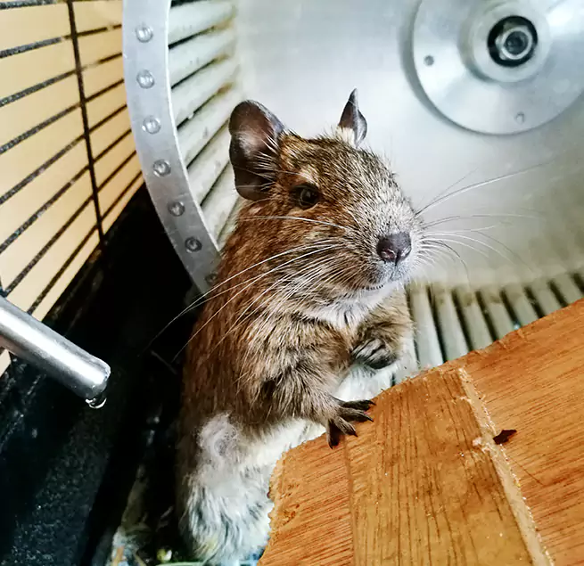 Why Homeowners & Businesses Trust Us Great Falls, MT